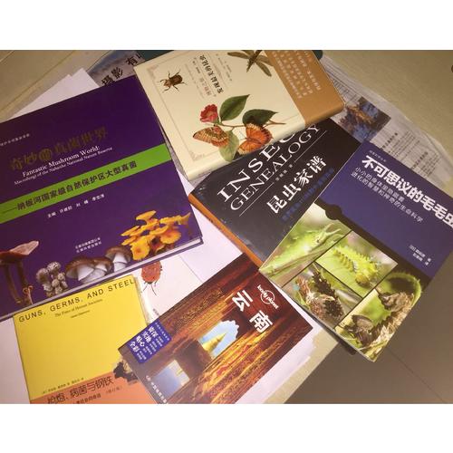 发现最美的昆虫(博物之旅)