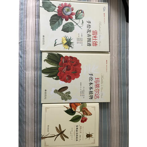 发现最美的昆虫(博物之旅)