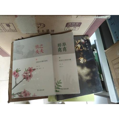 桃之夭夭——花影间的曼妙旅程