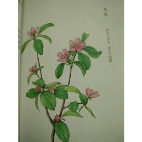 桃之夭夭——花影间的曼妙旅程