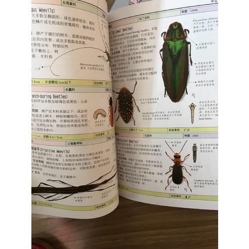 昆虫:全世界550多种昆虫