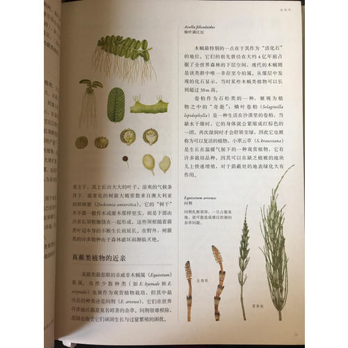 英国皇家园艺学会植物学指南