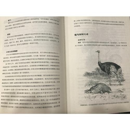 动物的秘密语言