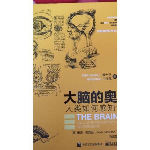 大脑的奥秘：人类如何感知世界