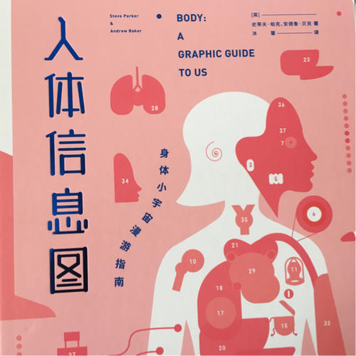 人体信息图：身体小宇宙漫游指南