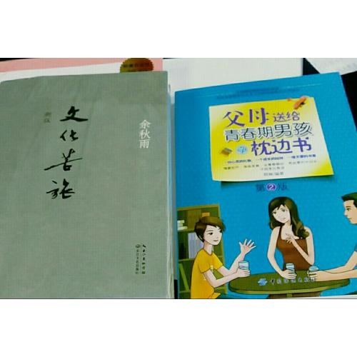 父母送给青春期男孩的枕边书（第2版）