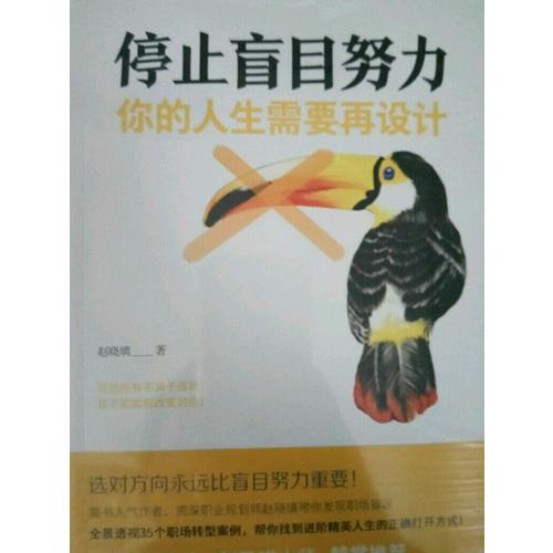停止盲目努力：你的人生需要再设计