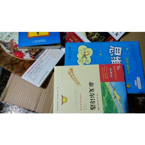 小学思维训练：思维导图