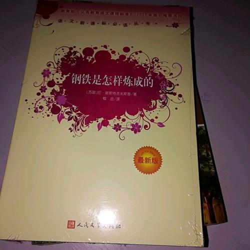 钢铁是怎样炼成的（近期版）语文新课标必读丛书/义务教育部分