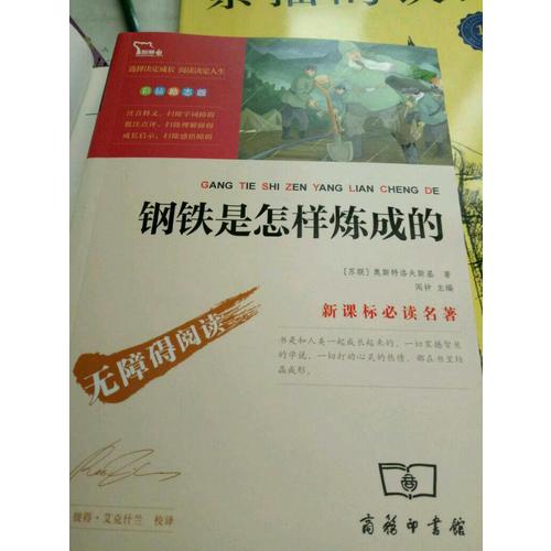 钢铁是怎样炼成的（中小学新课标必读名著 ）57000多名读者热评！