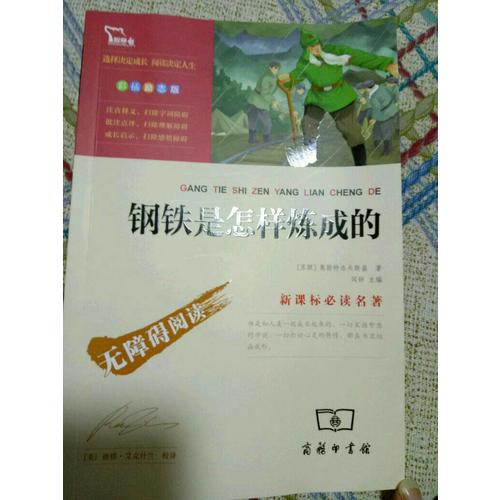 钢铁是怎样炼成的（中小学新课标必读名著 ）57000多名读者热评！