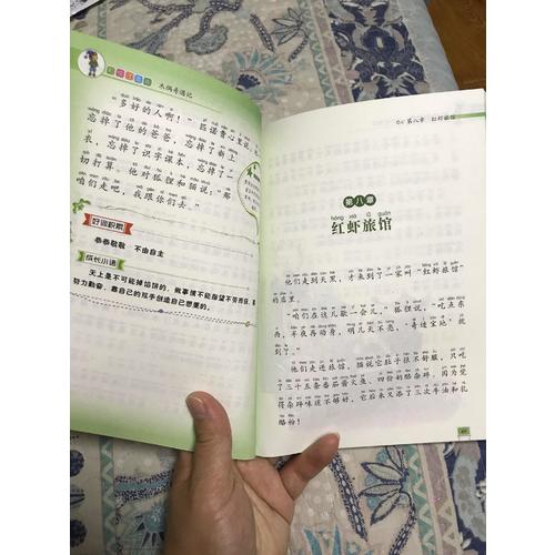 木偶奇遇记 小学语文新课标必读丛书 彩绘注音版