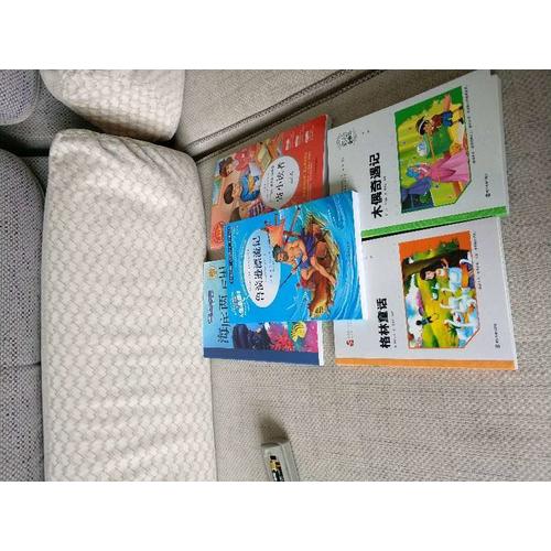 木偶奇遇记 小学语文新课标必读丛书 彩绘注音版