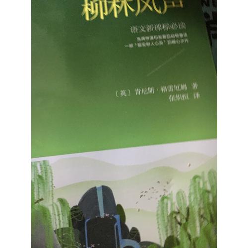 柳林风声（新课标经典插图本，著名儿童翻译家张炽恒全本全译）