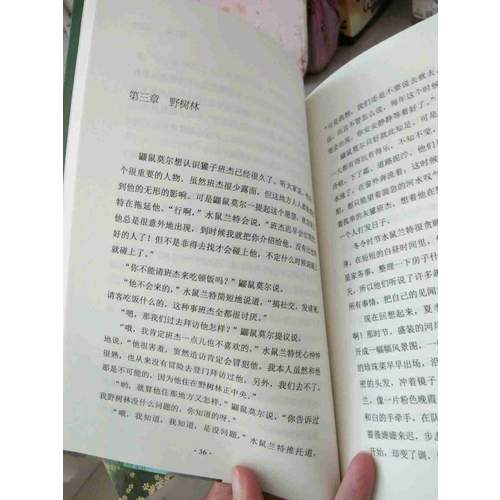 柳林风声（新课标经典插图本，著名儿童翻译家张炽恒全本全译）