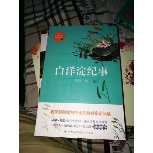白洋淀纪事（中学生定制版）部编教材七年级上指定阅读书系