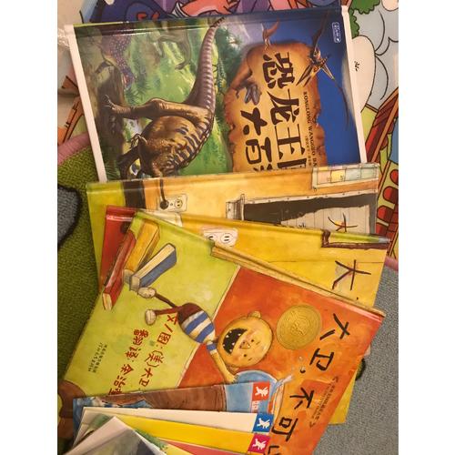 大卫不可以+大卫上学去+大卫惹麻烦（大卫系列全3册）