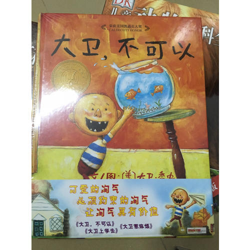 大卫不可以+大卫上学去+大卫惹麻烦（大卫系列全3册）