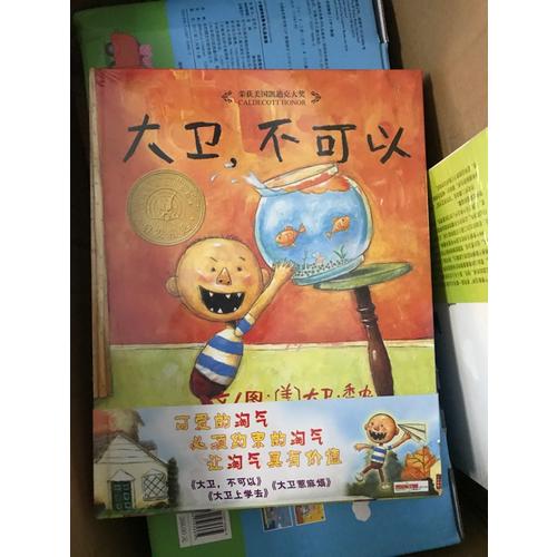 大卫不可以+大卫上学去+大卫惹麻烦（大卫系列全3册）