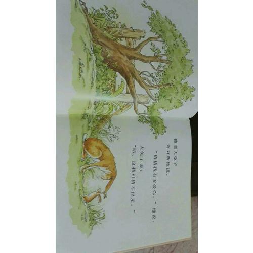 猜猜我有多爱你（央视朗读者 邹市明 冉莹莹倾情朗读）