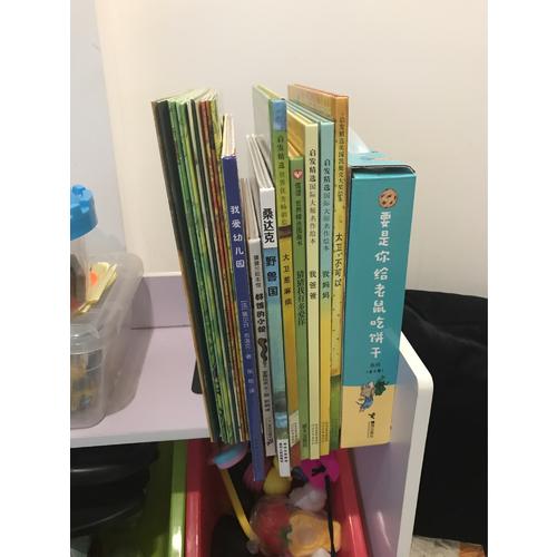 要是你给老鼠吃饼干系列（全9册）