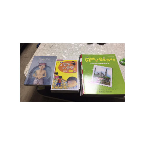 贝拉和哈里游世界（全13册）