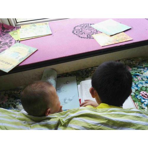 14只老鼠全集（全12册）