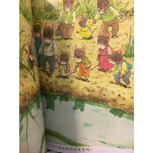 14只老鼠全集（全12册）