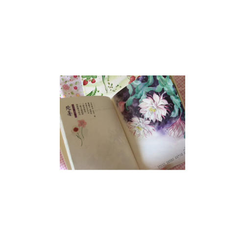 节气手帖——蔓玫的蔬果志