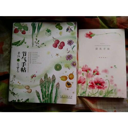 节气手帖——蔓玫的蔬果志