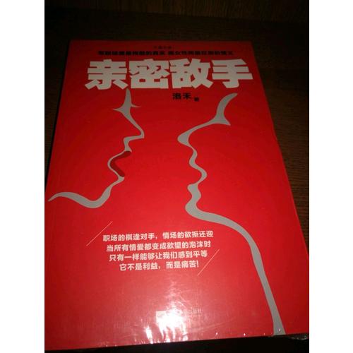 亲密敌手（继《杜拉拉升职记》《浮沉》之后又一都市职场力作！