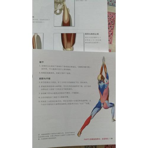 瑜伽3D解剖书Ⅱ
