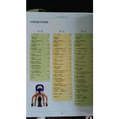 艾扬格瑜伽：精进习练指南（再版）