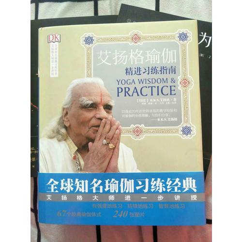 艾扬格瑜伽：精进习练指南（再版）