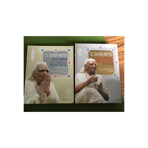 艾扬格瑜伽：精进习练指南（再版）