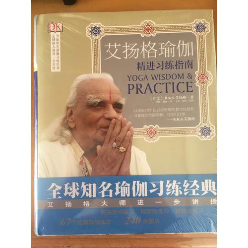 艾扬格瑜伽：精进习练指南（再版）