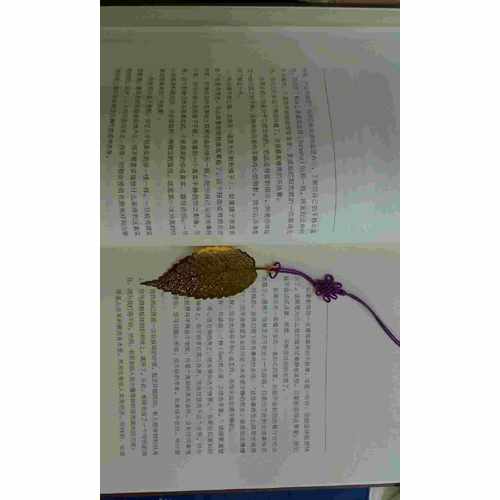 巴坦加里的瑜伽经：精装特藏版