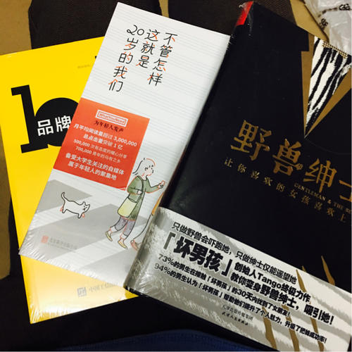 品牌至上——LOGO设计法则与案例应用解析