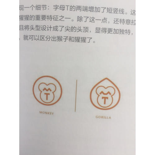 品牌至上——LOGO设计法则与案例应用解析