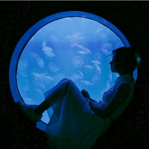 心理学统治世界3战争篇 理性操控 （新老版本随机发货）