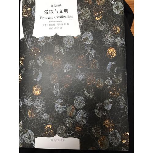 爱欲与文明（译文经典.精）
