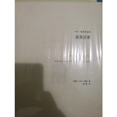 自我分析（卡伦·霍妮作品）