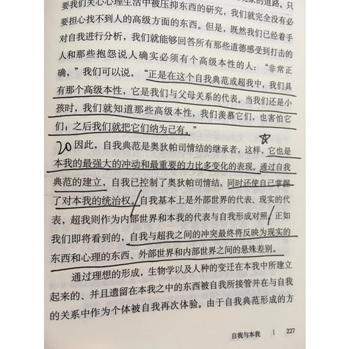 自我与本我(译文经典 精)