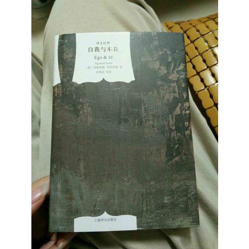 自我与本我(译文经典 精)
