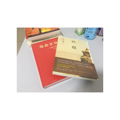 敦煌（引领无数读者奔赴敦煌莫高窟，惊天动地讲述藏经洞千古之谜）