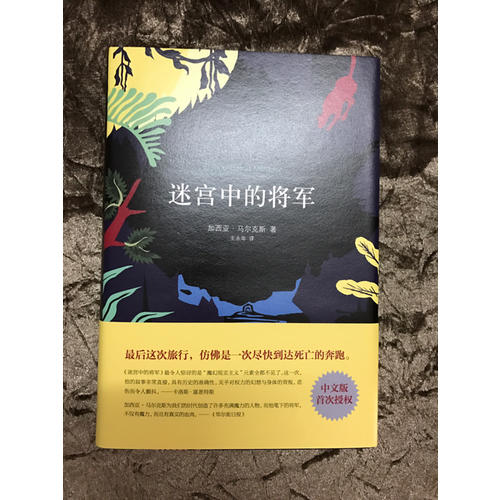 迷宫中的将军