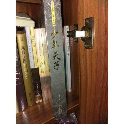 少年天子（长篇历史小说经典书系）