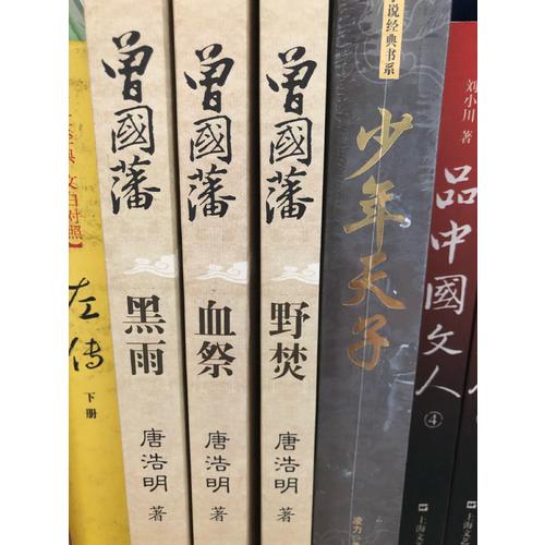 少年天子（长篇历史小说经典书系）