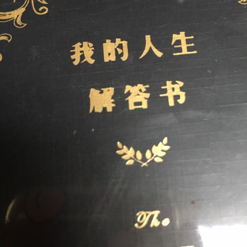 我的人生解答书