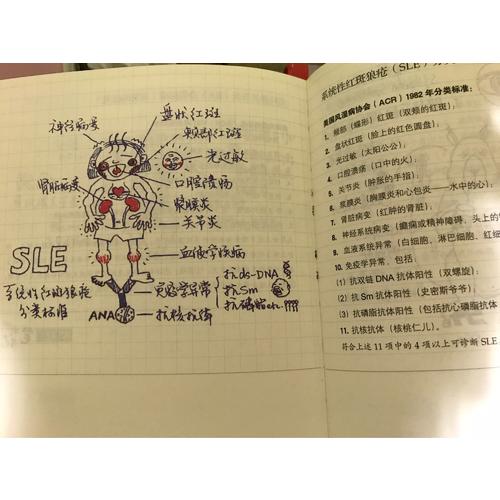 一分钟医学速记·协和医学博士的漫画笔记